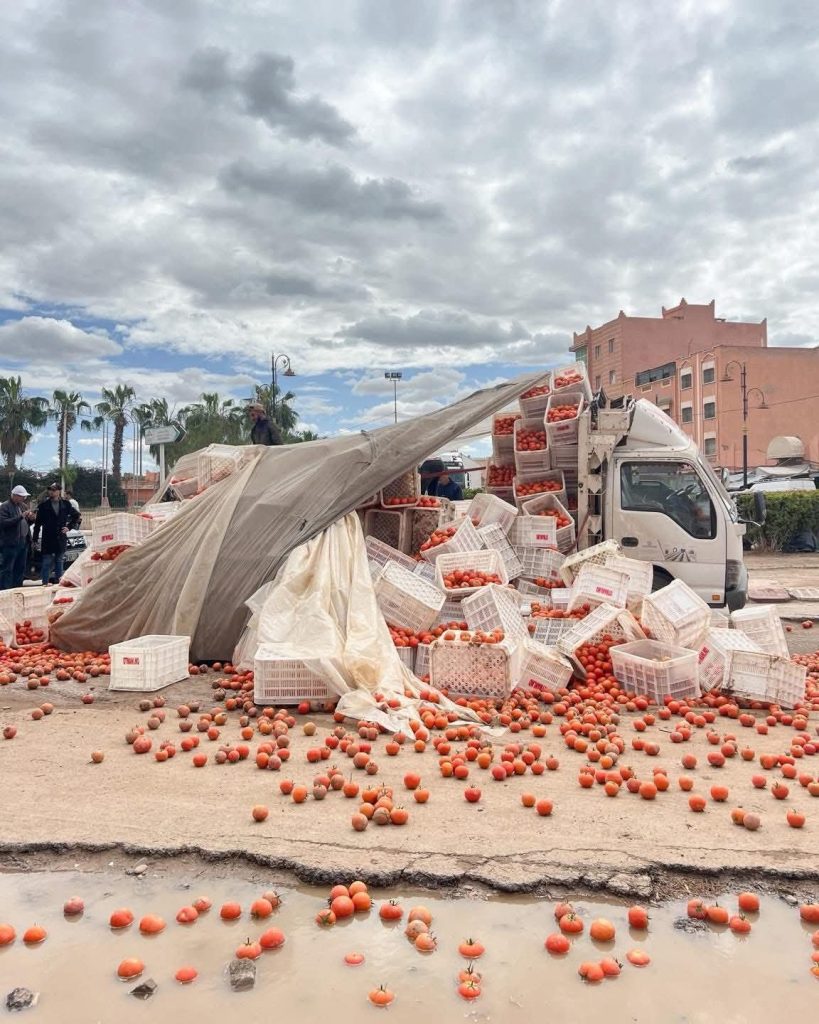 FB_IMG_1772648776726