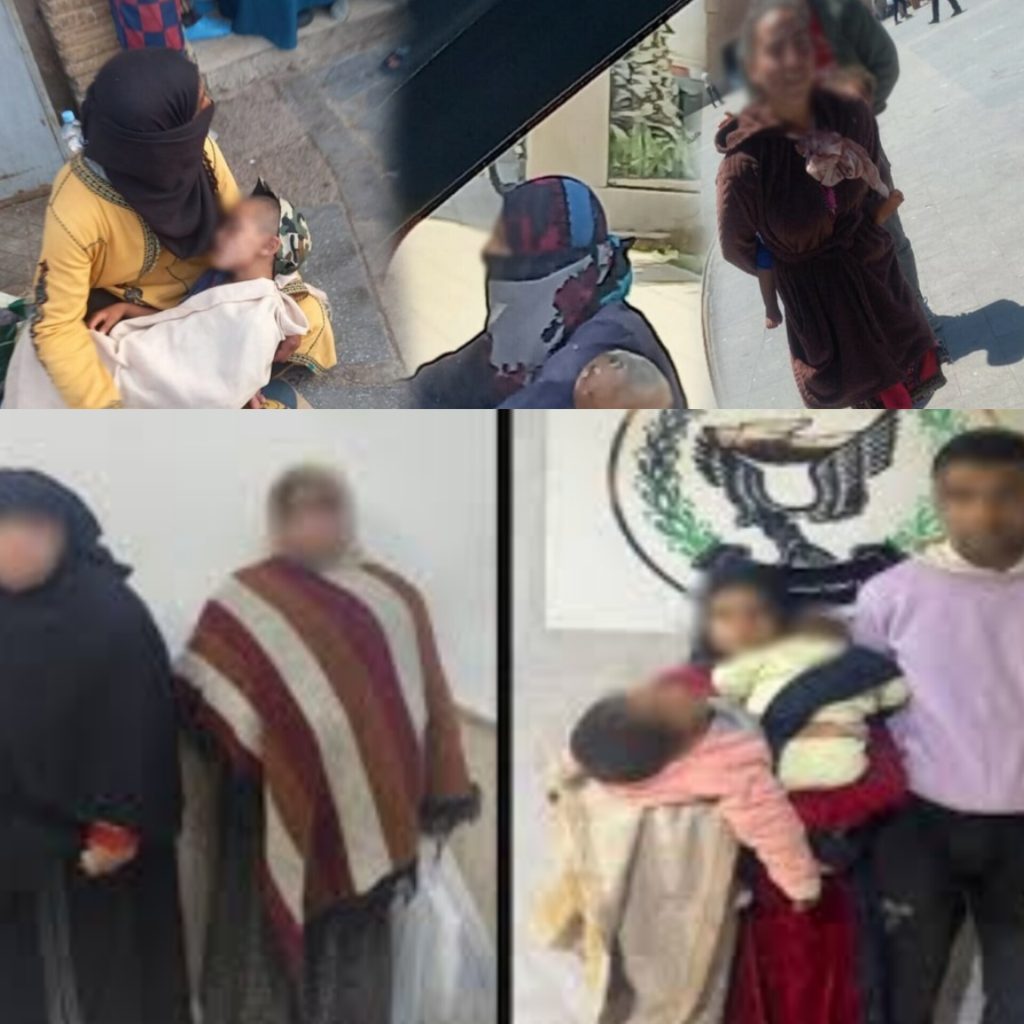 InShot_20260307_110127243