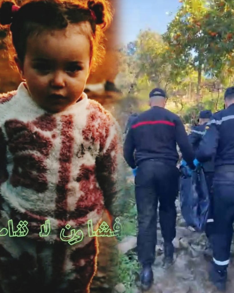 InShot_20260311_165735786